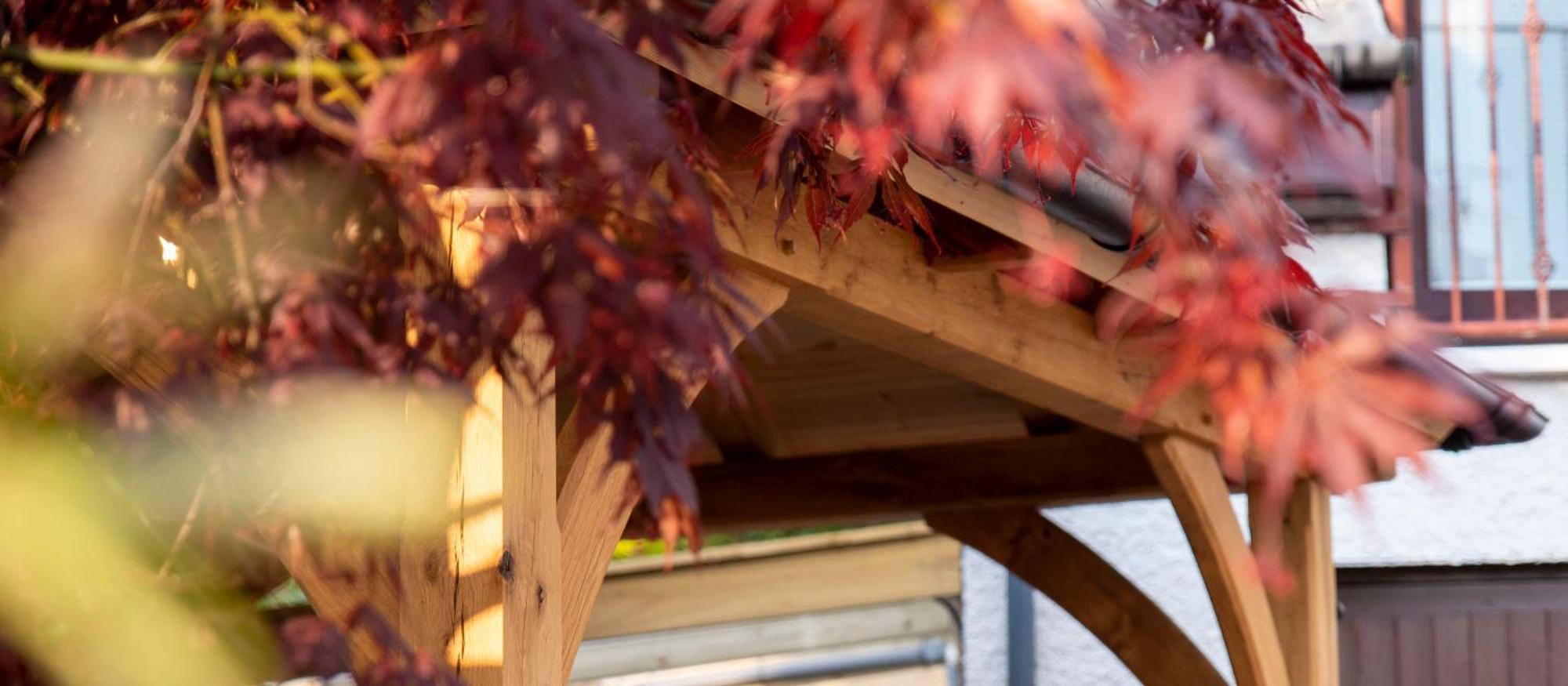 Braeside Guest House, Loch Lomond ドライメン エクステリア 写真